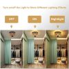 3-Lights Rattan Flush Mount Light