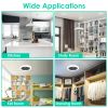 Ceiling Fan With Lights Remote Control 9.44in E27 Socket Fanlight with Dimmable Dimming Light Color Brightness 3 Fan Speed Timer Function